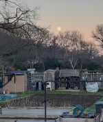 Wolf Moon Jan 2022 - photo by Rod