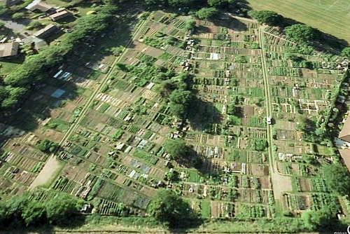 West Byfleet Allotments