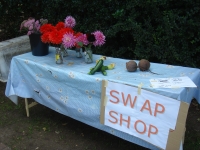 Swap Shop