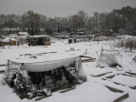 Snow hammock over brassicas