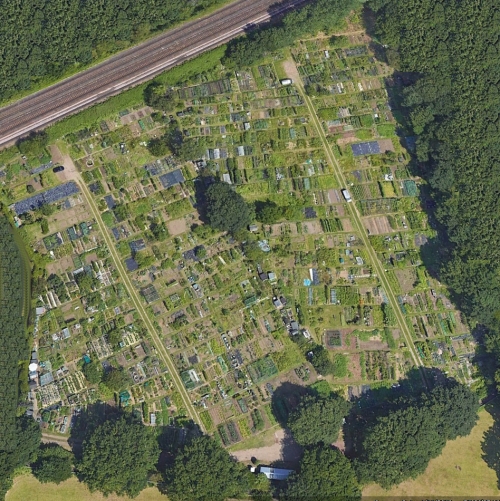 West Byfleet Allotments