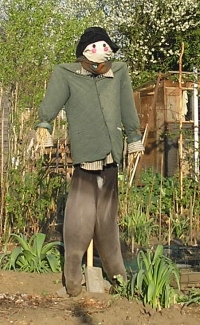 Scarecrow